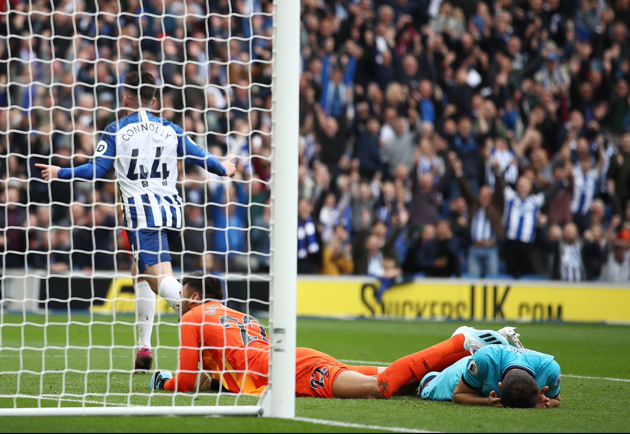 有專家指出 有專家指出